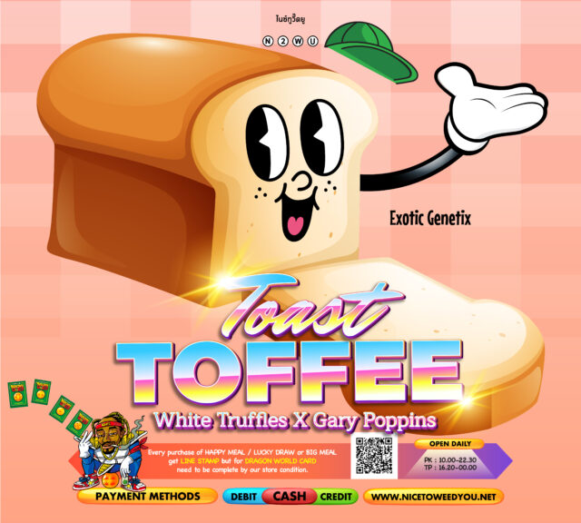 TOASTED TOFFEE กลิ่นของเธอนั้น หวาน นวล นุ่ม อัดแน่นด้วย Indica แบบเข้มๆ นี่มันของหวานสำหรับวันพักผ่อน