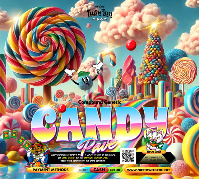Nice To Weed You , nice to weed you , กัญชา , ร้านกัญชา , candy pave