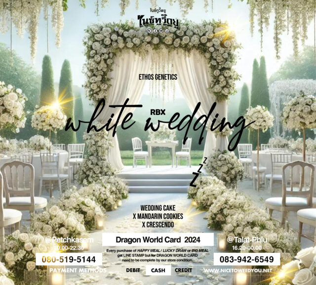 Nice To Weed You , nice to weed you , กัญชา , ร้านกัญชา , white wedding