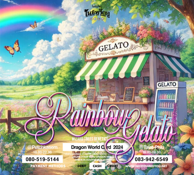 Nice To Weed You , nice to weed you , กัญชา , rainbow gelato