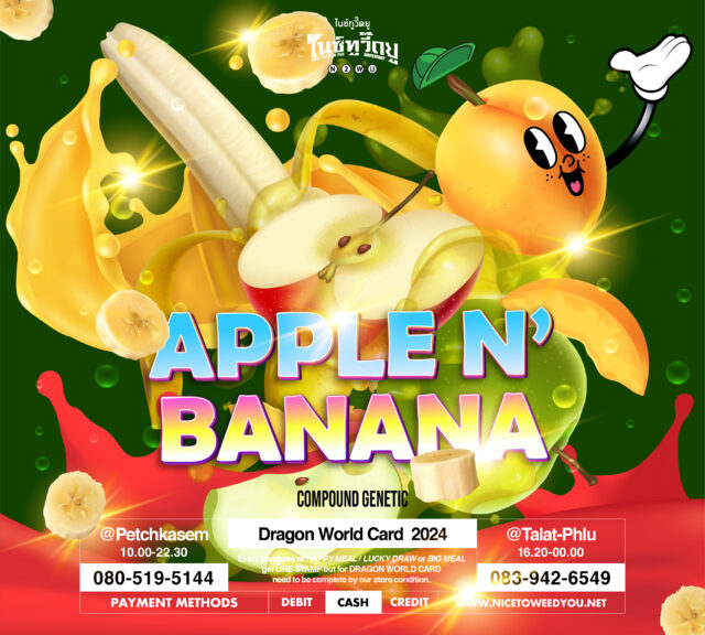 Nice To Weed You , nice to weed you , กัญชา , ร้านกัญชา ,Nice To Weed You , nice to weed you , กัญชา , สายพันธุ์ , Apple banana